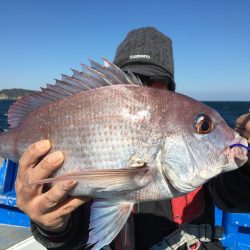 長栄丸(千葉) 釣果