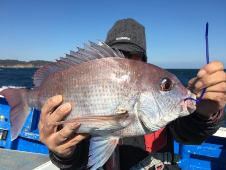 長栄丸(千葉) 釣果