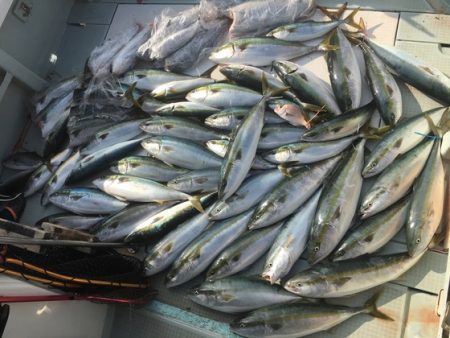 ふじしめ丸 釣果