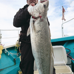 清和丸 釣果