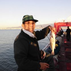 尼崎市立魚つり公園 釣果