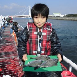 尼崎市立魚つり公園 釣果