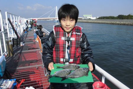 尼崎市立魚つり公園 釣果