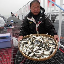 尼崎市立魚つり公園 釣果