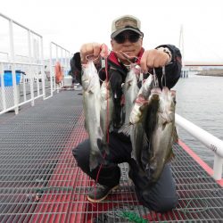 尼崎市立魚つり公園 釣果