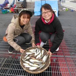 尼崎市立魚つり公園 釣果