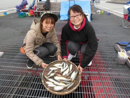 尼崎市立魚つり公園 釣果