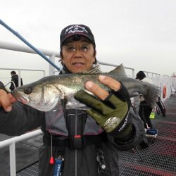 尼崎市立魚つり公園 釣果