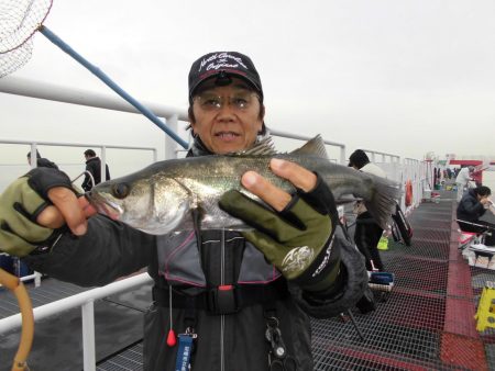 尼崎市立魚つり公園 釣果