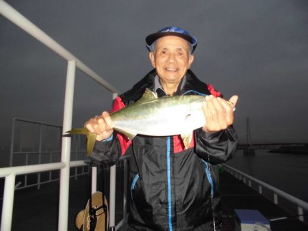 尼崎市立魚つり公園 釣果