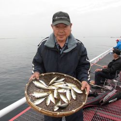 尼崎市立魚つり公園 釣果