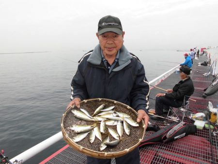 尼崎市立魚つり公園 釣果