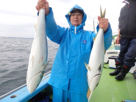 久里浜黒川本家 釣果