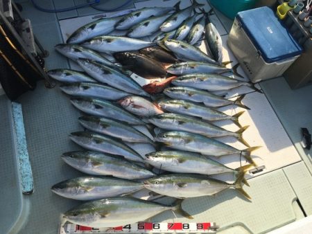 ふじしめ丸 釣果