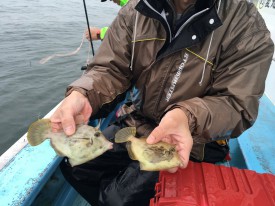 おざき丸 釣果