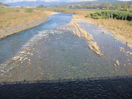 狩野川（狩野川漁業協同組合） 釣果