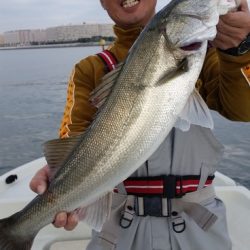 めだか屋 釣果