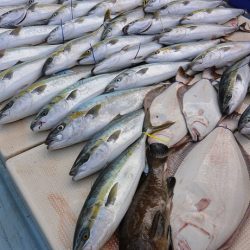 宝生丸 釣果