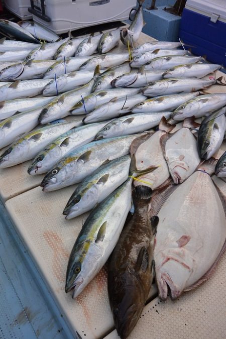 宝生丸 釣果