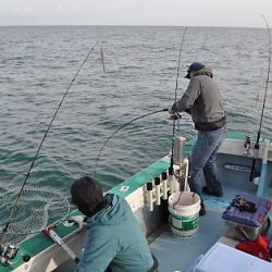 八海丸 釣果