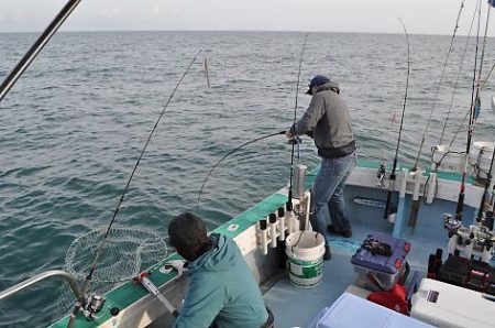 八海丸 釣果