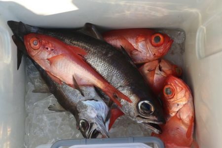 へいみつ丸 釣果