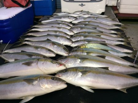 幸風（さちかぜ） 釣果