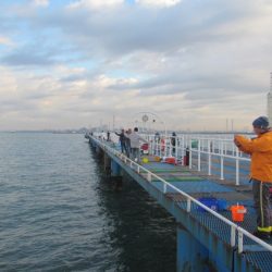 オリジナルメーカー海づり公園(市原市海づり施設) 釣果