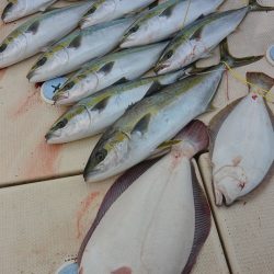 宝生丸 釣果