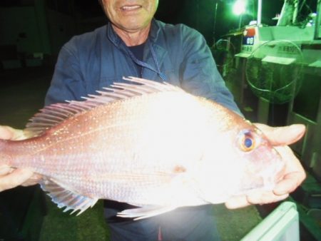 初栄丸 釣果