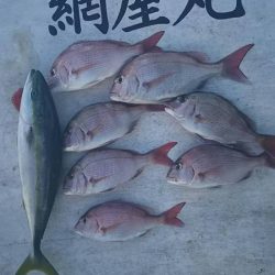 網屋丸 釣果