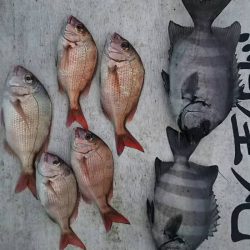 網屋丸 釣果