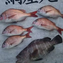 網屋丸 釣果