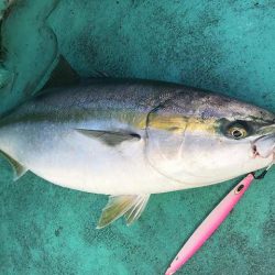 広進丸 釣果