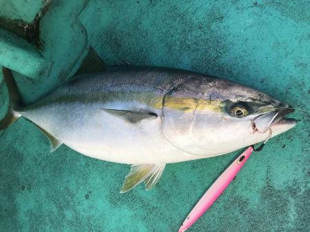 広進丸 釣果