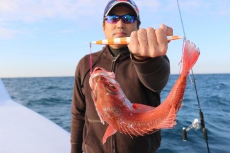 へいみつ丸 釣果