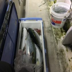 龍宮丸 釣果