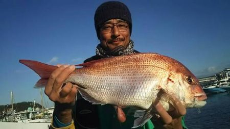 網屋丸 釣果