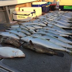 幸風（さちかぜ） 釣果