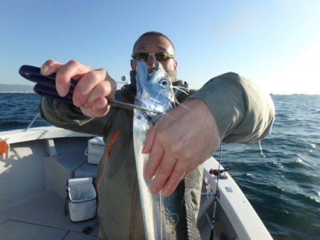 美里丸 釣果