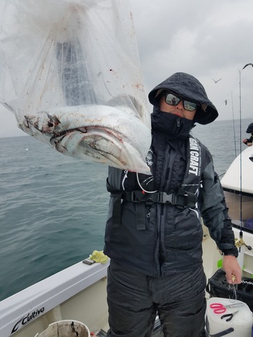 遊漁船　ニライカナイ 釣果