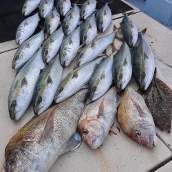 宝生丸 釣果