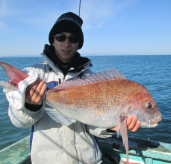 なかくに丸 釣果