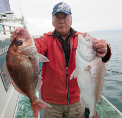 なかくに丸 釣果