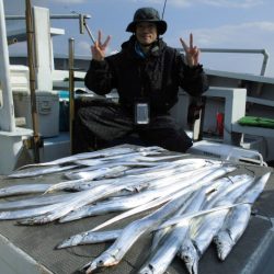 まとばや 釣果