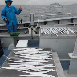 まとばや 釣果