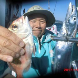 まとばや 釣果