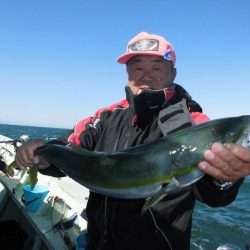 大進丸（愛知） 釣果