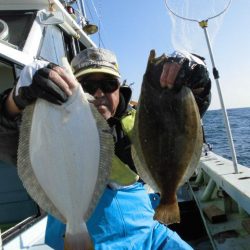 大進丸（愛知） 釣果