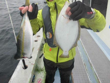 大進丸（愛知） 釣果